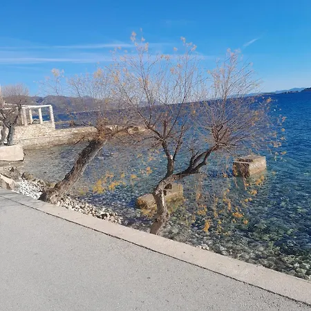 Ivanka * 奥瑞比克