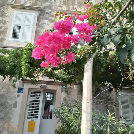 Ivanka * 奥瑞比克