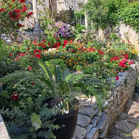 Ivanka 公寓 奥瑞比克